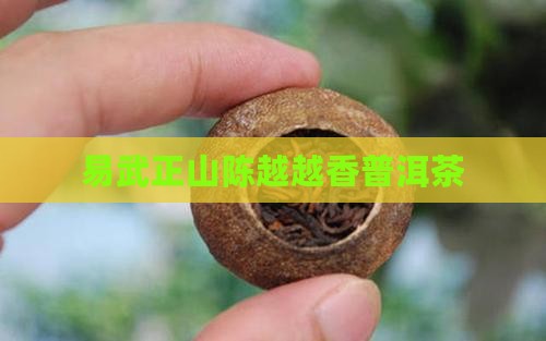 易武正山越陈越香普洱茶