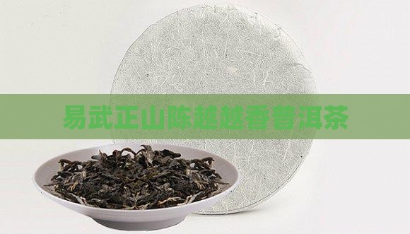 易武正山越陈越香普洱茶