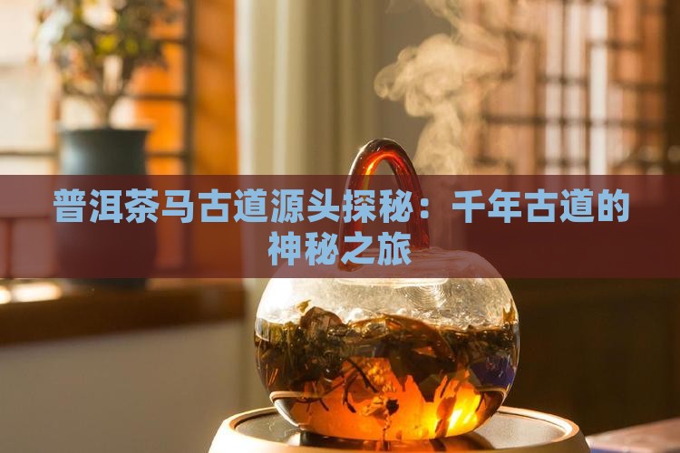 普洱茶马古道源头