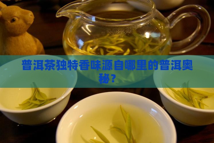 普洱茶独特香味源自哪里的普洱奥秘？