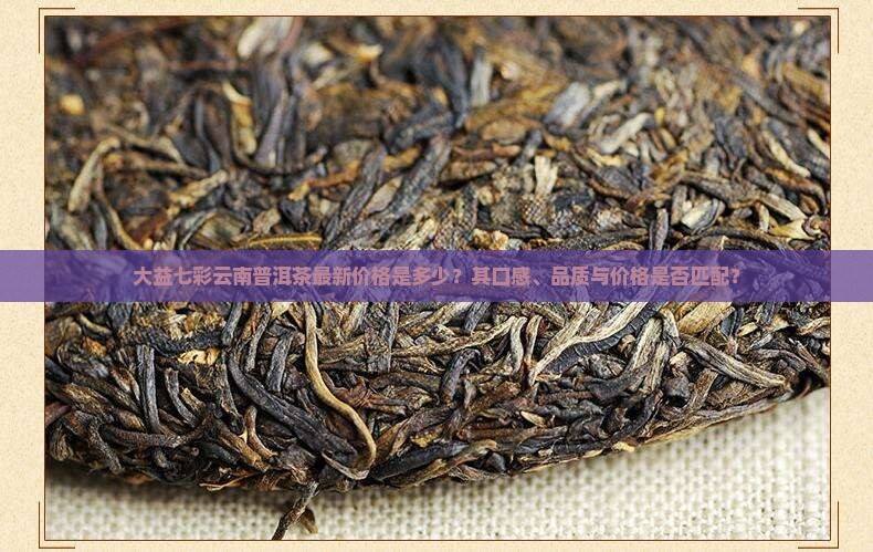 大益七彩云南普洱茶最新价格是多少？其口感、品质与价格是否匹配？