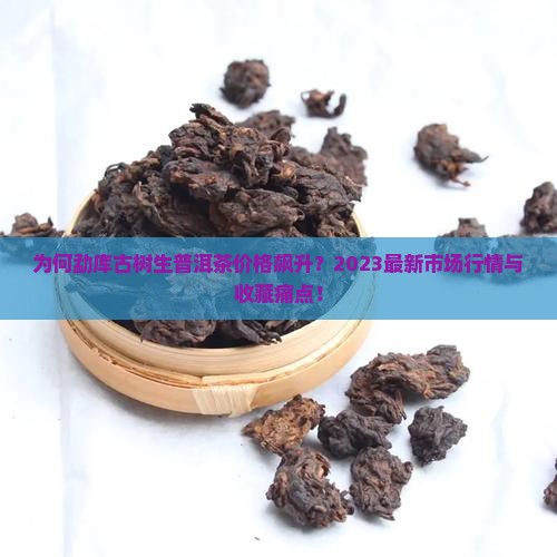 为何勐库古树生普洱茶价格飙升？2023最新市场行情与收藏痛点！
