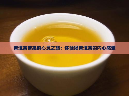 普洱茶带来的心灵之旅：体验喝普洱茶的内心感受