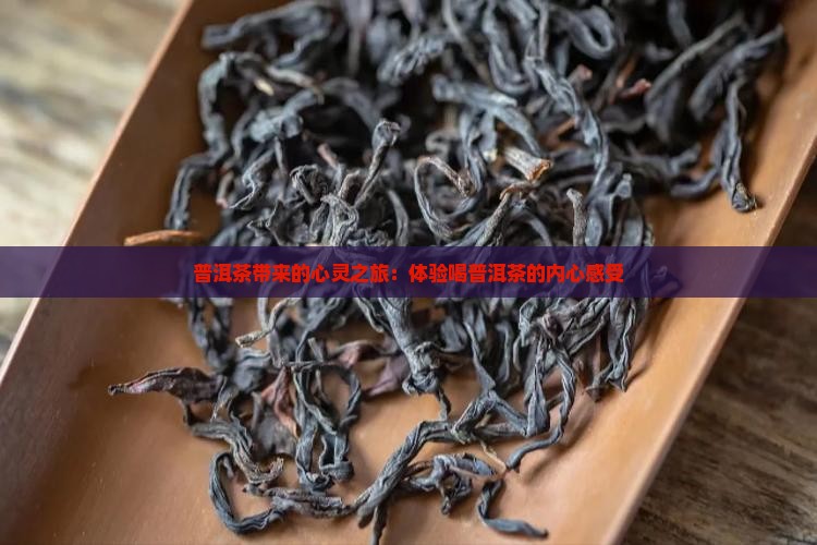 普洱茶带来的心灵之旅：体验喝普洱茶的内心感受