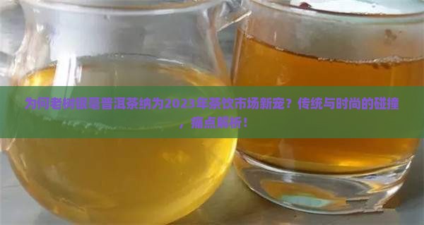 为何老树银毫普洱茶纳为2023年茶饮市场新宠？传统与时尚的碰撞，痛点解析！