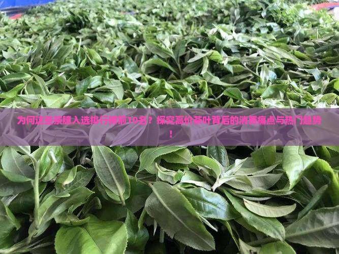 为何这些茶臆入选排行榜前10名？探究高价茶叶背后的消费痛点与热门趋势！