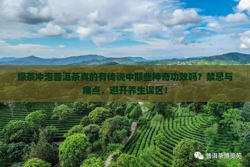 绿茶冲泡普洱茶真的有传说中那些神奇功效吗？禁忌与痛点，避开养生误区！