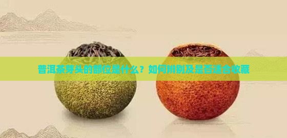 普洱茶芽头的部位是什么？如何辨别及是否适合收藏