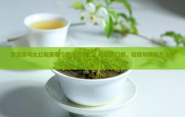 普洱茶与大红袍茶哪个更适合自己？两者的口感、功效与保存方法有何不同？