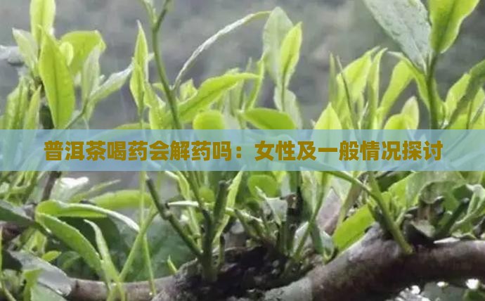 普洱茶喝药会解药吗：女性及一般情况探讨