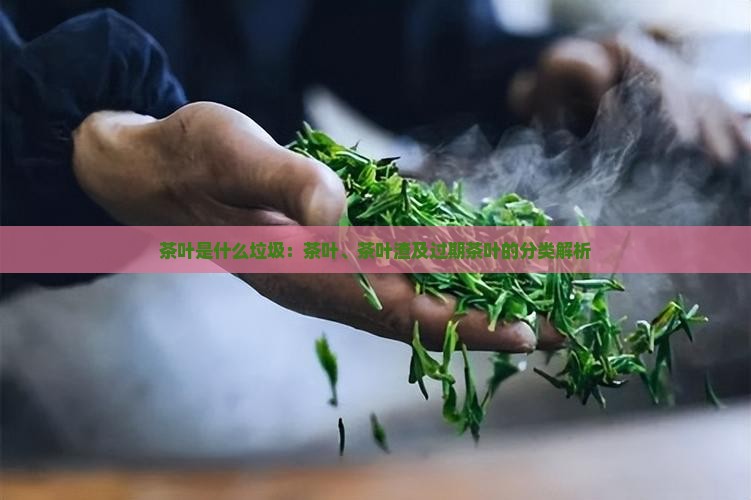 茶叶是什么垃圾：茶叶、茶叶渣及过期茶叶的分类解析