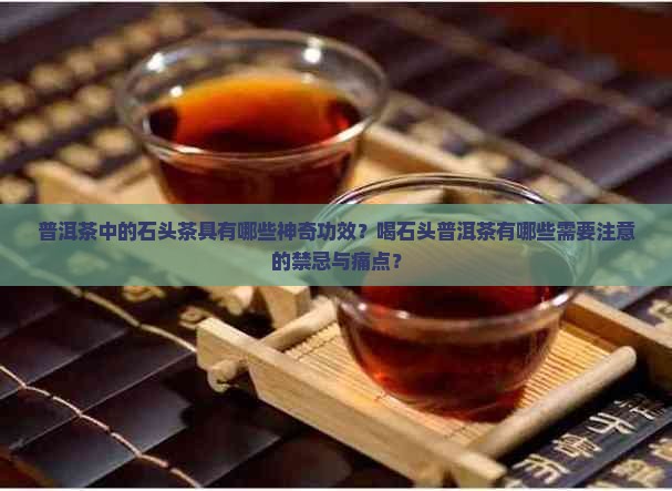 普洱茶中的石头茶具有哪些神奇功效？喝石头普洱茶有哪些需要注意的禁忌与痛点？
