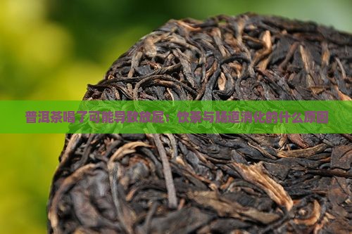 普洱茶喝了可能导致放屁：饮茶与肠道消化的什么原因