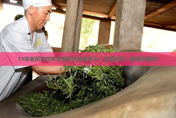 13年老班章古树沱茶的价格是多少？口感如何？值得收藏吗？