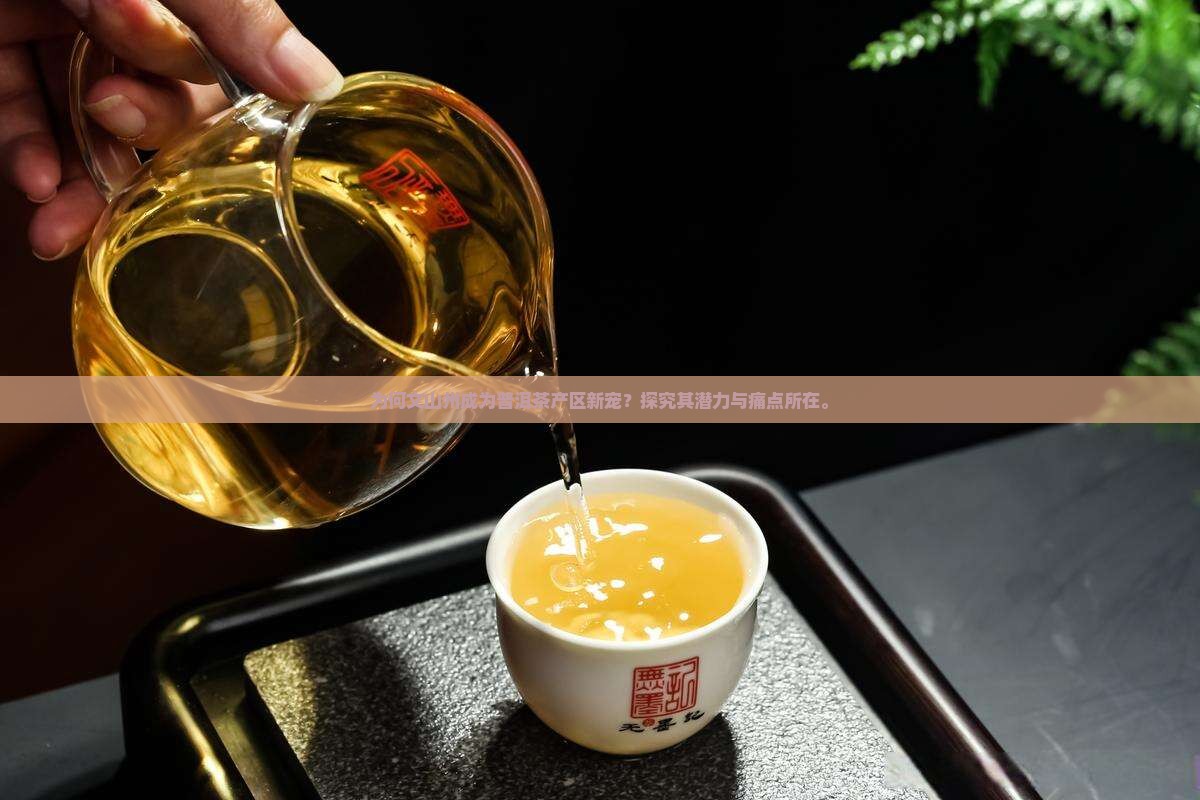 为何文山州成为普洱茶产区新宠？探究其潜力与痛点所在。