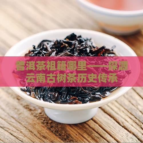 普洱茶祖籍哪里——探源云南古树茶历史传承
