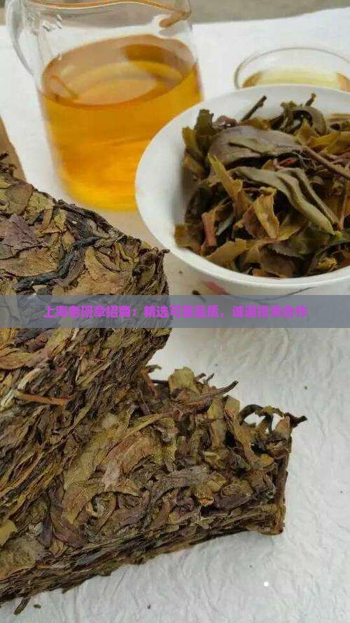 上海老班章招商：精选可靠品质，诚邀投资合作