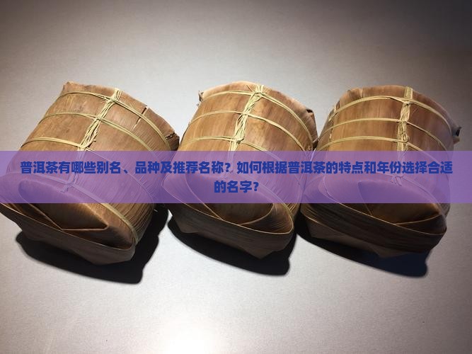 普洱茶有哪些别名、品种及推荐名称？如何根据普洱茶的特点和年份选择合适的名字？
