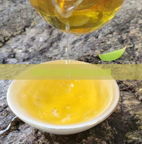 湖南名扬四海的茶山盛景