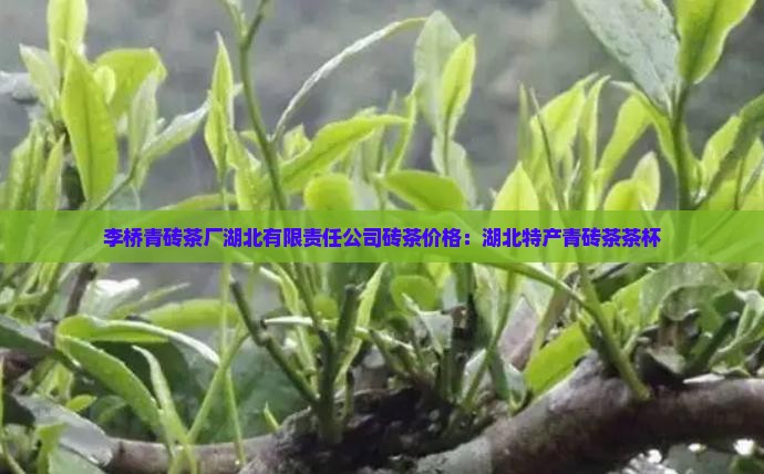 李桥青砖茶厂湖北有限责任公司砖茶价格：湖北特产青砖茶茶杯