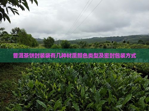 普洱茶饼封装袋有几种材质颜色类型及密封包装方式