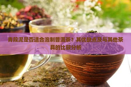 青段泥是否适合泡制普洱茶？其优缺点及与其他茶具的比较分析