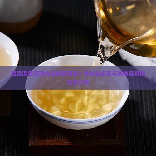 青段泥是否适合泡制普洱茶？其优缺点及与其他茶具的比较分析