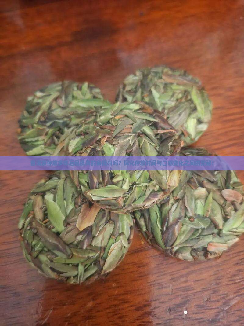 普洱茶存放多年后品质真的会提升吗？探究存放时间与口感变化之间的奥秘！