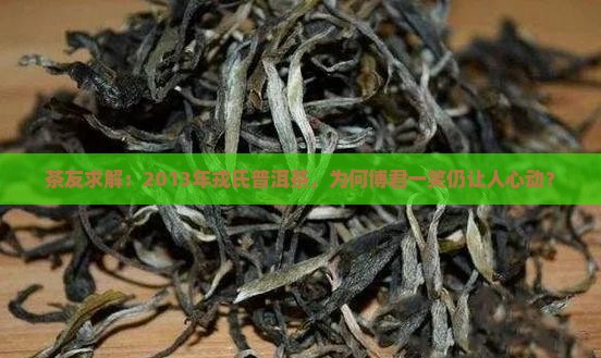茶友求解：2013年戎氏普洱茶，为何博君一笑仍让人心动？