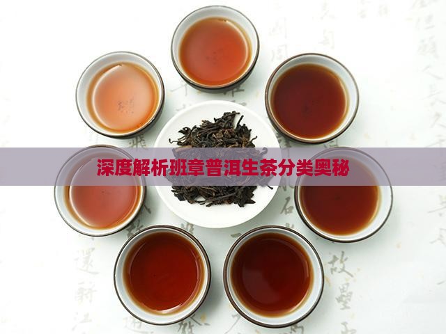 深度解析班章普洱生茶分类奥秘