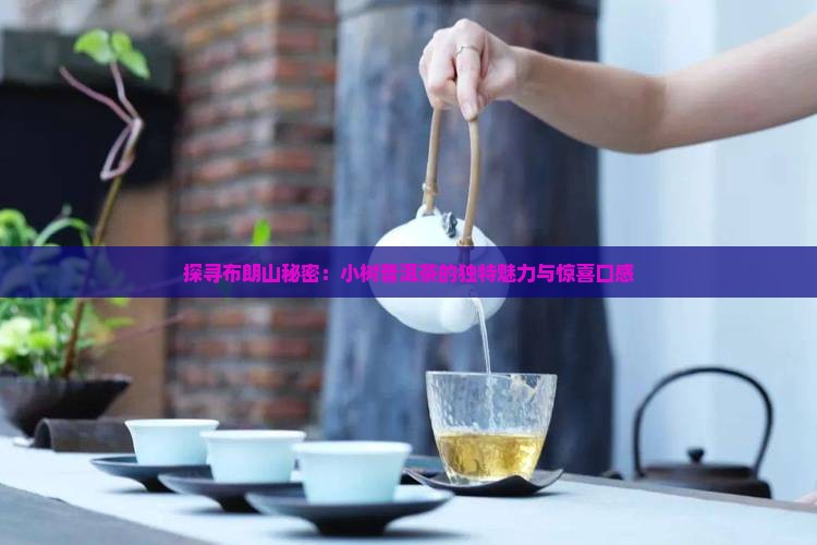 探寻布朗山秘密：小树普洱茶的独特魅力与惊喜口感