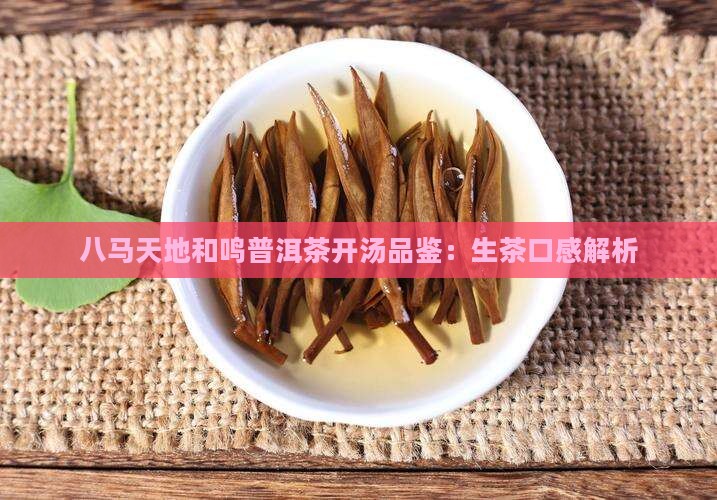 八马天地和鸣普洱茶开汤品鉴：生茶口感解析