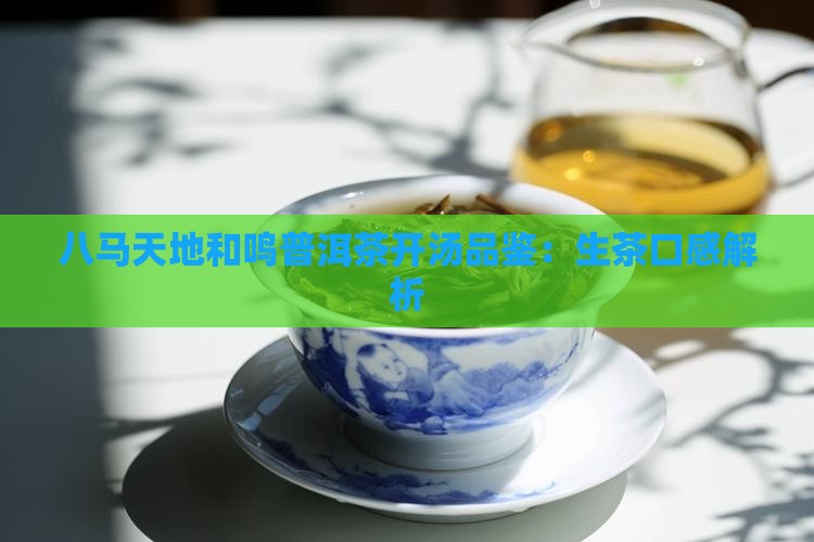 八马天地和鸣普洱茶开汤品鉴：生茶口感解析