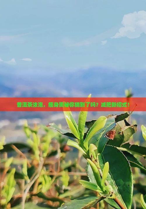 普洱茶浓泡，瘦身奥秘你猜到了吗？减肥新招式！