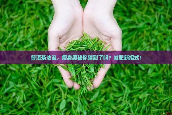 普洱茶浓泡，瘦身奥秘你猜到了吗？减肥新招式！