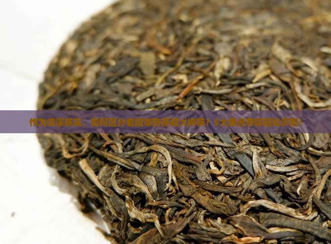 作为资深茶友，如何区分老班章熟茶和大树茶？5大要点带你轻松识别！