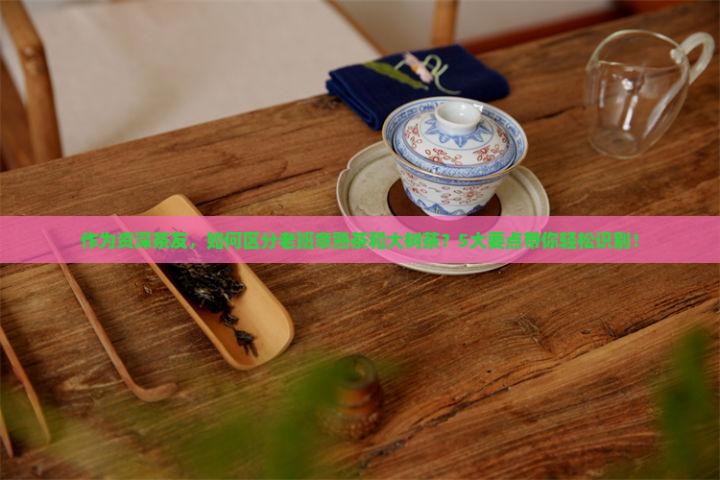 作为资深茶友，如何区分老班章熟茶和大树茶？5大要点带你轻松识别！