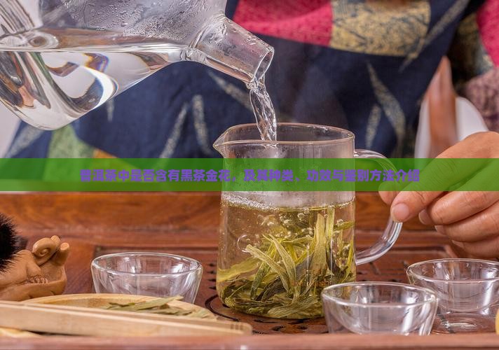普洱茶中是否含有黑茶金花，及其种类、功效与鉴别方法介绍