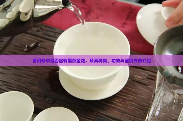 普洱茶中是否含有黑茶金花，及其种类、功效与鉴别方法介绍