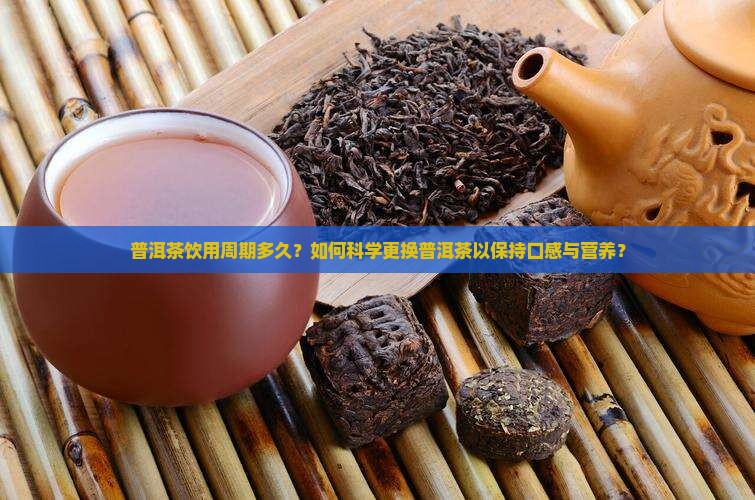 普洱茶饮用周期多久？如何科学更换普洱茶以保持口感与营养？