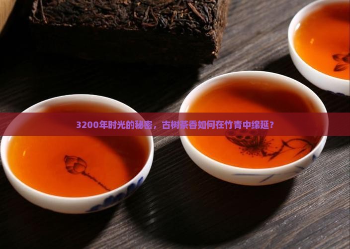 3200年时光的秘密，古树茶香如何在竹青中绵延？