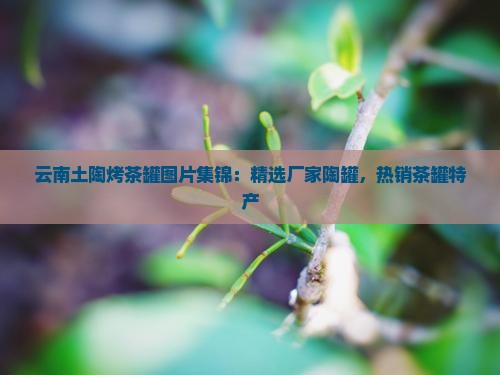 云南土陶烤茶罐图片集锦：精选厂家陶罐，热销茶罐特产