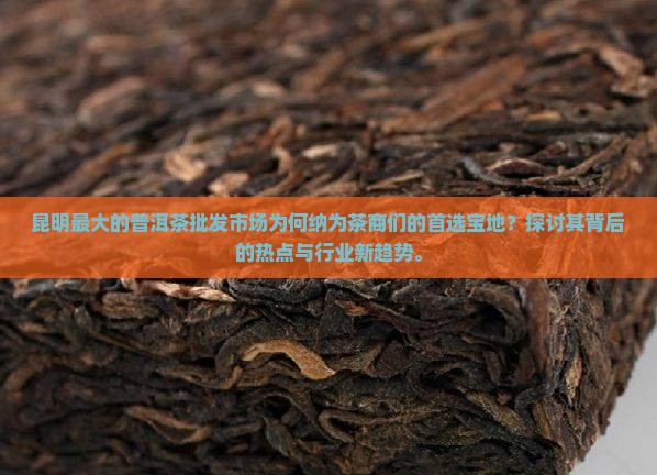 昆明最大的普洱茶批发市场为何纳为茶商们的首选宝地？探讨其背后的热点与行业新趋势。