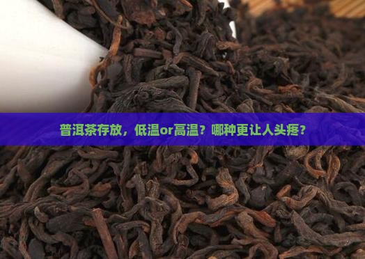 普洱茶存放，低温or高温？哪种更让人头疼？