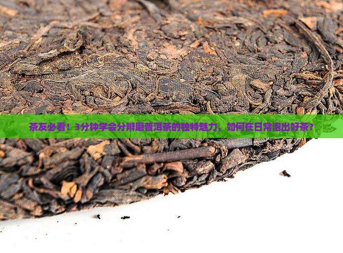 茶友必看！3分钟学会分辨磨普洱茶的独特魅力，如何在日常泡出好茶？