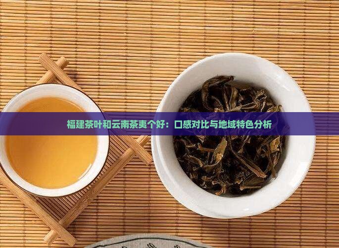 福建茶叶和云南茶夷个好：口感对比与地域特色分析