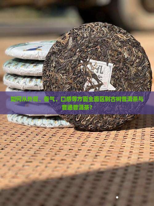 如何从外观、香气、口感等方面全面区别古树普洱茶与普通普洱茶？