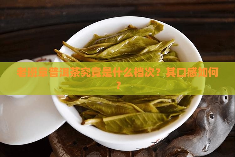 老班章普洱茶究竟是什么档次？其口感如何？