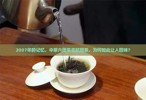 2007年的记忆，中茶六堡茶启航团茶，为何如此让人回味？