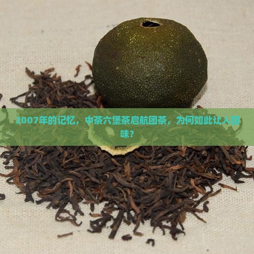 2007年的记忆，中茶六堡茶启航团茶，为何如此让人回味？